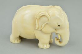 A LATE 19TH CENTURY CARVED IVORY ELEPHANT, with trunk curved up towards mouth, height 7cm x length