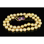 A LATE 20TH CENTURY AKOYA CULTURED PEARL NECKLET, cultured pearls uniform in size, measuring an