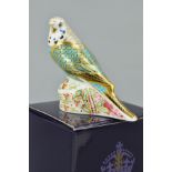 A BOXED LIMITED EDITION ROYAL CROWN DERBY PAPERWEIGHT, 'Sky Blue Budgerigar' No545/1000, gold