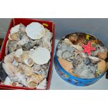 TWO TUBS OF VARIOUS SHELLS, etc