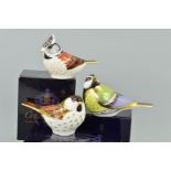 THREE BOXED ROYAL CROWN DERBY BIRD PAPERWEIGHTS, 'Willow Tit', 'Great Tit' and 'Crested Tit', all