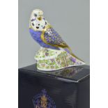 A BOXED ROYAL CROWN DERBY PAPERWEIGHT, 'Violet Budgerigar' gold stopper