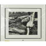 JOHN SWANNELL (BRITISH 1946) 'NAKED LANDSCAPE PLATE 43', a limited edition print 1/295, signed