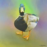 PAUL JAMES (BRITISH CONTEMPORARY) 'JUST CHARLIE', a limited edition box canvas print of a duck 15/