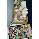 TWO TRAYS OF SHELLS AND SUNDRY ITEMS, to include small scent bottles, small cloisonné cat, Wade