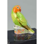 A BOXED LIMITED EDITION OF 2500 ROYAL CROWN DERBY PAPERWEIGHT, 'Red faced Love Bird', gold stopper