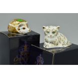 TWO BOXED ROYAL CROWN DERBY PAPERWEIGHTS, 'Millie Kitten' and 'Holly' (hedgehog) signature edition