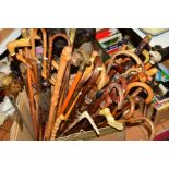 A LARGE COLLECTION OF WALKING STICKS, to include silver mounts, horn handle, birds head, pommel etc