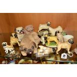 A GROUP OF PUG ORNAMENTS, to include two Beswick No1998 (one with broken legs) and a seated John