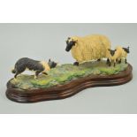 A BORDER FINE ARTS SCULPTURE, 'Blackfaced Ewe and Border Collie' No105, modelled by Ray Ayres