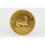 A GOLD KRUGERAND, 1oz, 1975, some minor edge knocks, approximately 34 grams