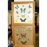 TWO SETS OF FRAMED BUTTERFLIES/MOTHS, twenty two specimens in total, approximate size 40cm x 40cm