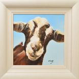AL KNIGHT (SCOTTISH CONTEMPORARY), 'Marty', a whimsical portrait of a Goat, signed bottom right, oil