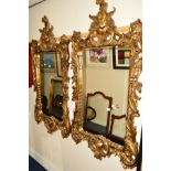 A PAIR OF REPRODUCTION FOLIATE GILT FRAMED BEVELLED EDGE WALL MIRRORS, approximately 77cm x 154cm
