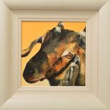 AL KNIGHT (SCOTTISH CONTEMPORARY), 'Lugs', a portrait study of a Goat, signed bottom right,