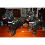 A PAIR OF LIFE SIZE RESIN BLACK SCOTTISH TERRIER DOGS, (2)