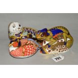 THREE ROYAL CROWN DERBY PAPERWEIGHTS, 'Chameleon' (gold stopper), 'Harbour Seal' limited edition