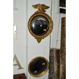 A REGENCY GILT FRAMED CONVEX CIRCULAR WALL MIRROR, with an eagle pediment, diameter 46cm (s.d.),