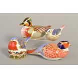 FOUR ROYAL CROWN DERBY SECONDS PAPERWEIGHTS, 'Baikal Teal' (silver stopper), 'Goldcrest' (silver