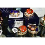 TWO BOXED AND TWO UNBOXED ROYAL CROWN DERBY PAPERWEIGHTS, 'Millennium Bug' limited edition of 2000