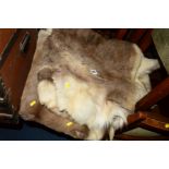 TAXIDERMY, two Reindeer skins