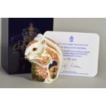 A BOXED ROYAL CROWN DERBY LIMITED EDITION PAPERWEIGHT, 'Stoney Middleton Squirrel' No72/500