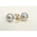 A MODERN 18CT PAIR OF LIGHT GREY CULTURED PEARL EARRINGS, Akoya cultured pearls measuring