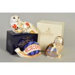 THREE ROYAL CROWN DERBY PAPERWEIGHTS, 'Snail' (boxed and gold stopper), 'Seal' (no backstamp, with a