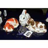 THREE ROYAL CROWN DERBY COLLECTORS GUILD PAPERWEIGHTS, 'Scruff' puppy (boxed), 'Puppy' and '