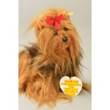 A STEIFF YORKSHIRE TERRIER 'TAFFY', No.4192/25 (079306), complete with button to ear and chest