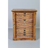 A VICTORIAN SCUMBLED AND STAINED PINE COLLECTORS CABINET, the rectangular top with moulded edge