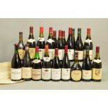 TWENTY BOTTLES OF WINE, from Eastern France including Chateauneuf du Pape, Domaine Rodet,