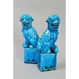 A PAIR OF BLUE GLAZED ORIENTAL DOGS OF FO, both seated on rectangular plinth base, approximate