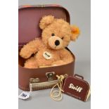 A STEIFF TEDDY BEAR IN SUITCASE, 'Fynn' No111471, height 28cm