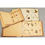 THREE ALBUMS OF BOTANICAL PRESSINGS, containing approximately 500 specimens to include grasses,