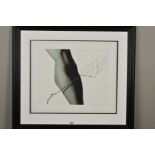 JOHN SWANNELL (BRITISH 1946) 'NUDE AND TWIG' a limited edition giclee print 10/295, signed lower