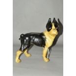 A MODERN CAST DOORSTOP, shaped as a Boston Terrier, height 20cm