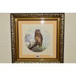 A MOUNTED FRAMED PORCELAIN PLAQUE, hand painted owl sitting on branch, signed D.D.Nowacki (should be