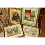 FOUR FRAMED PRINTS OF PRIZE WINNING FOWLS, to include Black Frizzled fowls Oxford 1872, black red