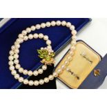 A CULTURED PEARL NECKLACE WITH PERIDOT CLASP AND A PAIR OF MID 20TH CENTURY CULTURED PEARL EARRINGS,