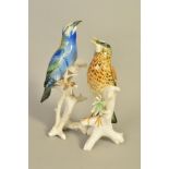 TWO KARL ENS PORCELAIN BIRDS, 'Thrush' No7574, height 26cm, and another No7431 (reglued) 92)