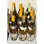 TWELVE BOTTLES OF WHITE BURGUNDY, comprising six bottles of Bourgogne Blanc, Domaine Rene Manuel