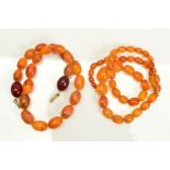 A PLASTIC BEAD NECKLACE AND AN AMBER BEAD NECKLACE, both designed as a single row of graduated