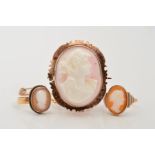 A CAMEO BROOCH AND TWO CAMEO RINGS, the brooch with an oval cameo carved to depict a lady in profile