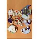 SEVEN ROYAL CROWN DERBY SECONDS PAPERWEIGHTS, 'Angel Fish' (scratched and silver stopper), 'Twin