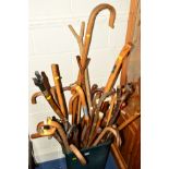 A TUB CONTAINING A LARGE COLLECTION OF VARIOUS WALKING STICKS, to include a silver topped malacca