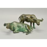 TWO SECOND HALF OF THE 20TH CENTURY GREEN PATINATED BRONZE FIGURE OF WATER BUFFALO, one standing,