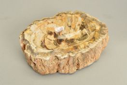 A CARVED PIECE OF PETRIFIED WOOD DESIGNED AS AN ASHTRAY, measuring approximately 17cm x 6cm