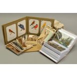 ONE ALBUM AND ONE BOX OF APPROXIMATELY FOUR HUNDRED POSTCARDS, dating from the Edwardian era to