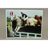 DESERT ORCHID COLOUR PHOTOGRAPH, (rider unknown) clearing a hurdle